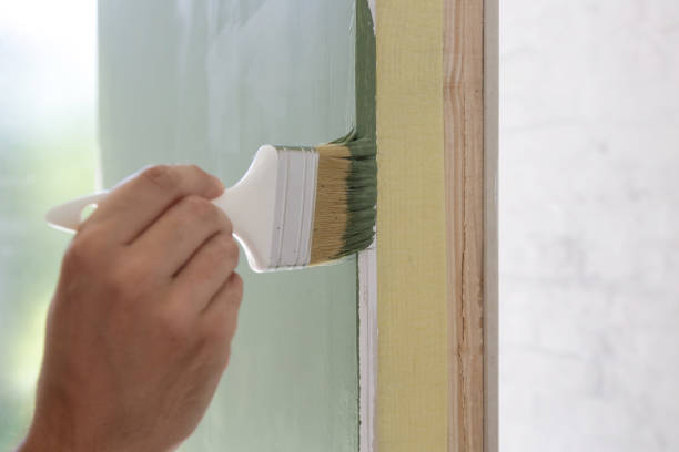 Best Basement Mold Removal  in West Babylon, NY