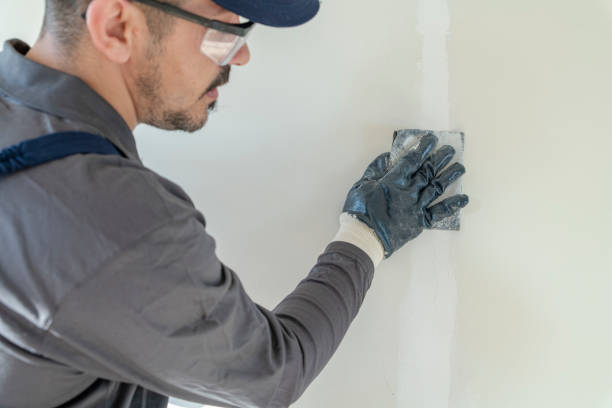 Best Emergency Mold Remediation  in West Babylon, NY
