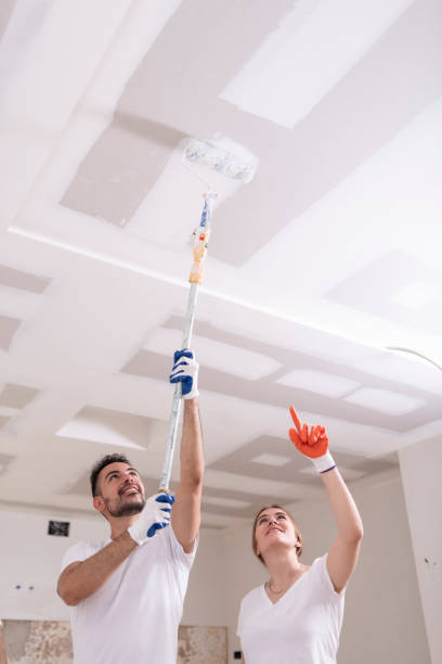 Trusted West Babylon, NY Mold Removal Experts