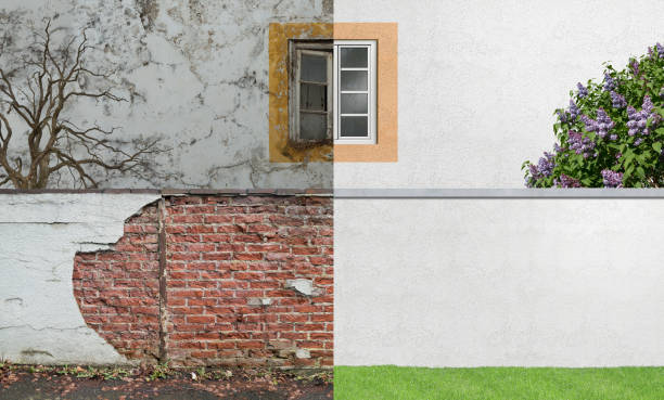 Best Comprehensive Air Testing for Mold Contaminants  in West Babylon, NY