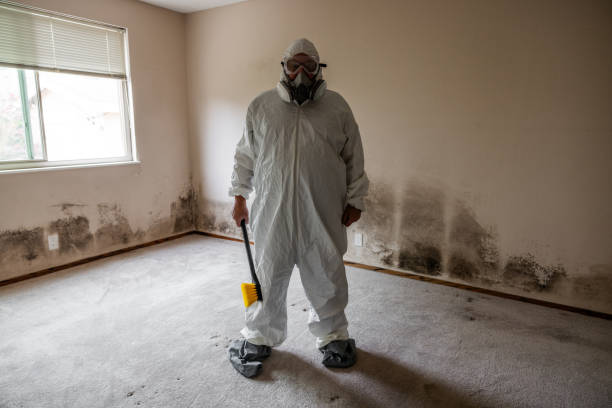 Best Residential Mold Inspection & Testing  in West Babylon, NY