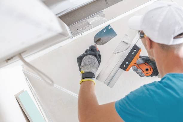 Best Real Estate Mold Inspection  in West Babylon, NY